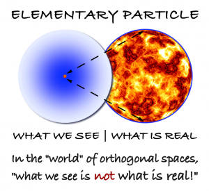 Elementary Particle